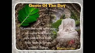 Karma Quote About Life | Buddha Quote |Quote of the day in English #karma #quote #buddha #lifequotes