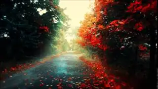 Borgeous & Shaun Frank - This Could Be Love (Moogy Remix)