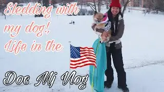 First time ko mag sled sa America with my dog! | Doc Mj Veterinarian