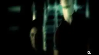 bulletproof | clove/cato