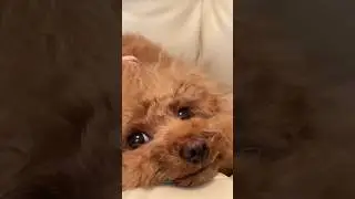 Самые красивые глаза у того…
