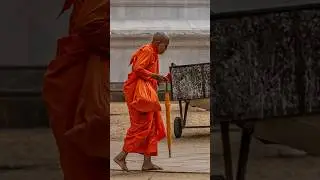 Instantly Remove Unwanted Objects in Photoshop!