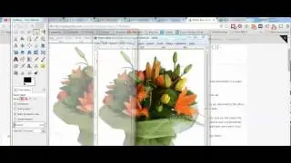 How to resize your images to the same size for shopify