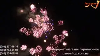 Свадьба 31 07 12