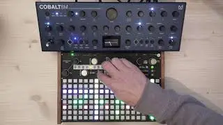 MODAL Cobalt 8M - Deep Dub Chords | Dub Techno Session #12