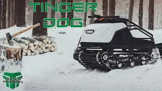 Tinger Dog Process Video