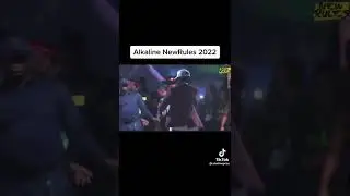 alkaline performing static at new rules festival 2022