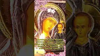 Пресвятая Дева Мария ,помилуй, спаси и сохрани моих детей,внуков,родных,близких от всякого зла!