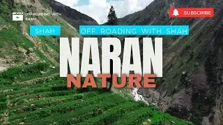 NATURE OF NARAN WITH SHAH RIDER [Cartoon ON & ON SONG]