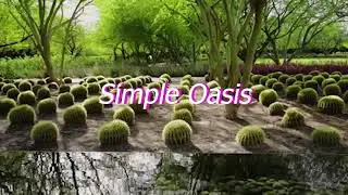 The Simple (Kind of) Oasis #9 Airsoft, Pina Coladas, and the Simple Stuff