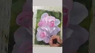 19 июня 2023 г.