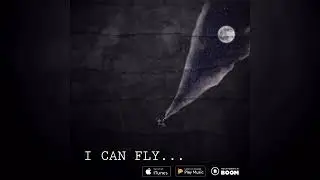 Xcho I can fly