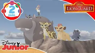 The Lion Guard | Music Video 