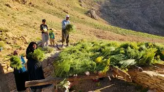 Nomadic Life: Nomadic Green Shelter 🌿 | Nomadic Journey Through Dangerous Mountain Paths 🏔️