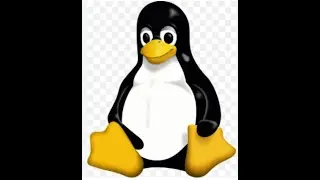 Mastering the Linux Command Line: Essential Commands You Need to Know!(Session-1)