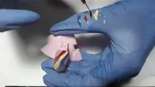 Nail art design for Romania's 100 years anniversary