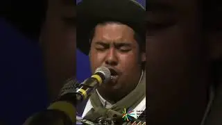 Pronde Foi o Esquilador - #musica #musicagaucha #music #maurosilva  #tbt