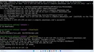 Shell Scripting Tutorial for Beginners