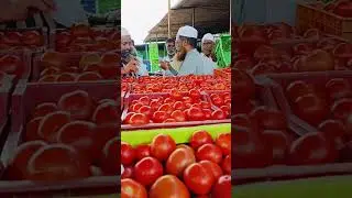 Punganur tomato MSM 🍅🍅🍅 9/10/2024 #punganurtomatomarket #trending #tomatomarket #tomatowholesalemar