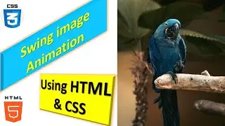 Swing image Animation / web design /