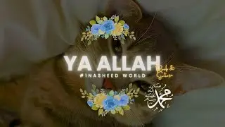 ✯ Ya Allah X Raef & Sintesa // #1 Top Nasheed World (2024) ✯