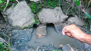 For decades, this hole turned out to be a big eel house in the middle of the city