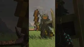 Zelda Mods are TOO CRAZY... #totk #shorts #botw