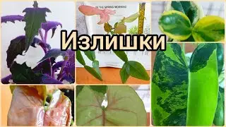 23.05.23 