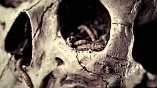 빅스 (VIXX )-  [Hyde]  Music Video ( ENG SUBBED)