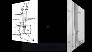 VB38 Ян-фу