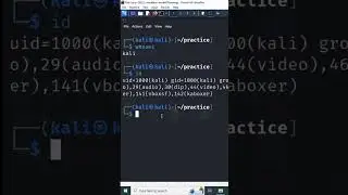 Linux System Information Commands 