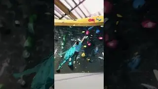 The most insane Boulder in the climbing gym