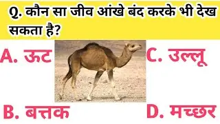कौन सा जीव आंखे बंद करके देख सकता है।gk facts ||gk facts question||gk questions and answers ||ms gk