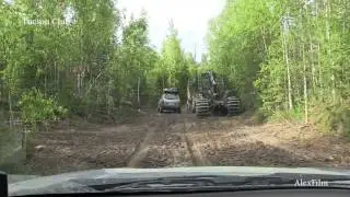 Петроглифы и озеро Пезанец.