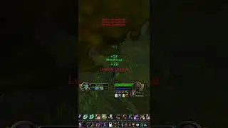 ⚡️How to beat a PALADIN 1v1 on SoD as Druid 
