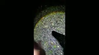 Как собрать выползка летом
