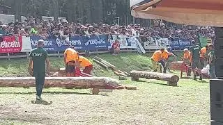 Gara di Sramatura - Festa del Boscaiolo 2025 a Molina di Fiemme Trentino
