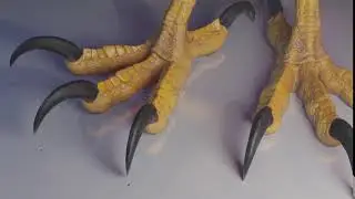 Annie talon - render02