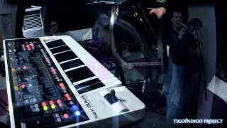 TigoIndigo Project Live