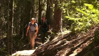 TrekSta Alta GTX Hiking Boot
