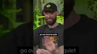 Jules Gill Quotes (but they just get more chaotic)