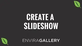 How to Create a Slideshow in WordPress by using Envira Gallery