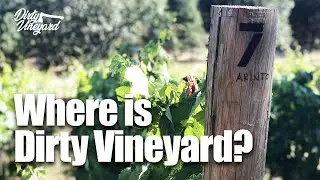 Where is our vineyard? | Season 1, Episode 12 | Dirty Vineyard
