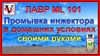 Промывка инжектора в домашних условиях своими руками.  Лавр ML101.