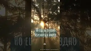 Не шага назад