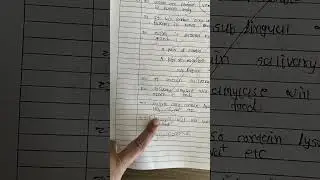 how to overcome language barriers in mbbs theory exam