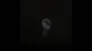 SAULT - Wildfires