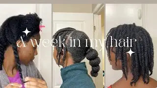 From wash day to wash day || A week in my natural hair