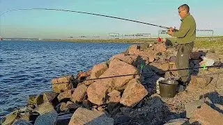 Arrived - no bite. Thought - caught Bream. Feeder fishing for bream in the Gulf of Finland.