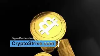 Starting Investing In Cryptocurrency Today